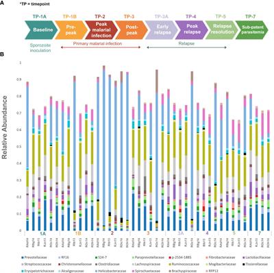 Malaria disrupts the rhesus macaque gut microbiome